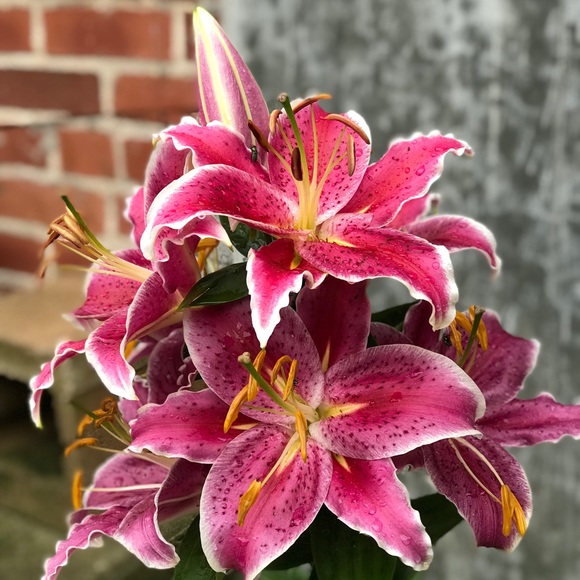 Hi, thanks for stopping by. - Picture 4 of 4